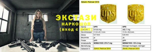 индика Бугульма