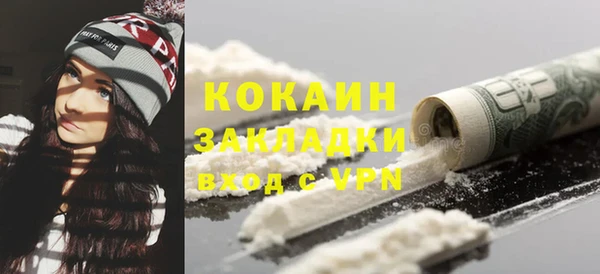 стафф Бородино