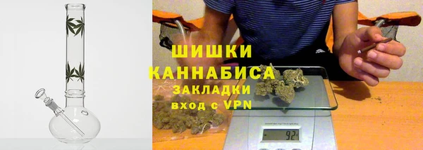 индика Бугульма