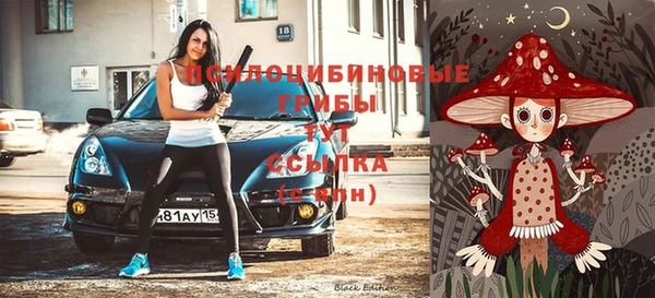 стафф Бородино