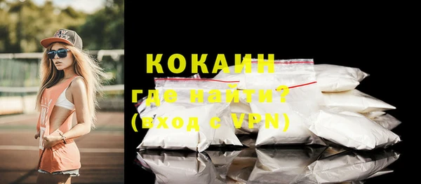 индика Бугульма
