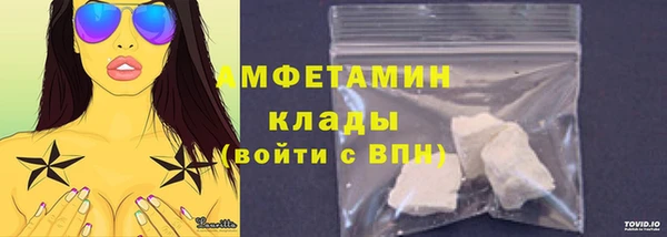 индика Бугульма