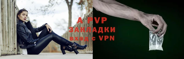 стафф Бородино