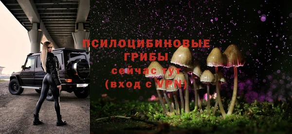 стафф Бородино