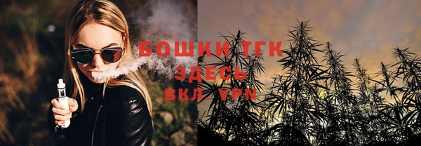 стафф Бородино