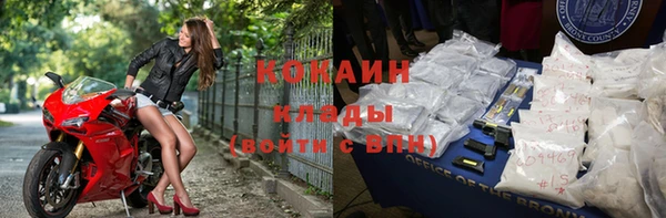 стафф Бородино
